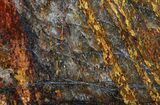 Golden Amphibolite Slab - Western Australia #65415-1